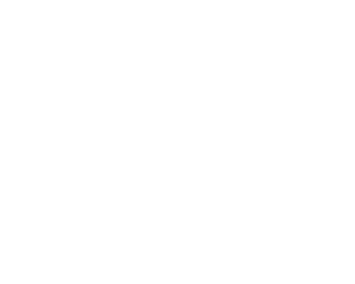 Logo La Causa Nikkei